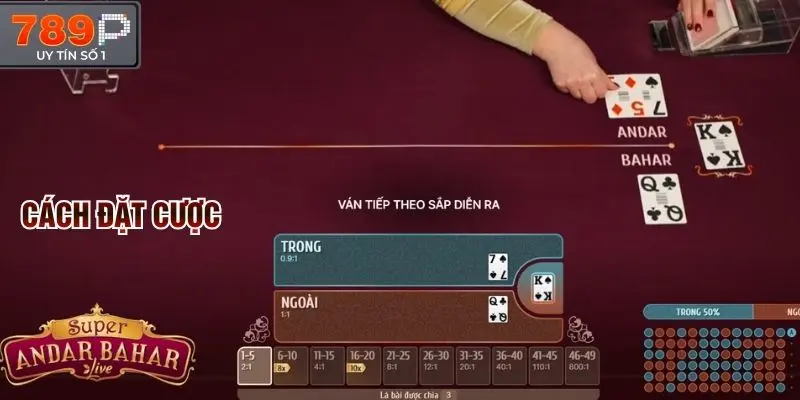 Cách thức đặt cược Andar Bahar khá dễ hiểu